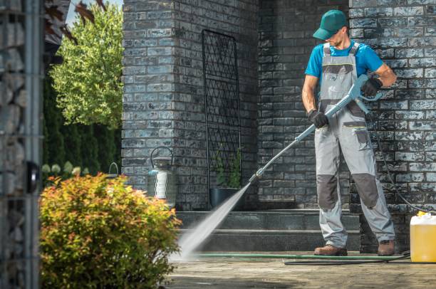 Best Roof Washing  in Lamoni, IA